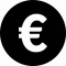 icon euro
